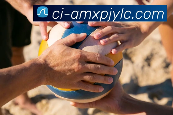 新葡京娱乐服务体系